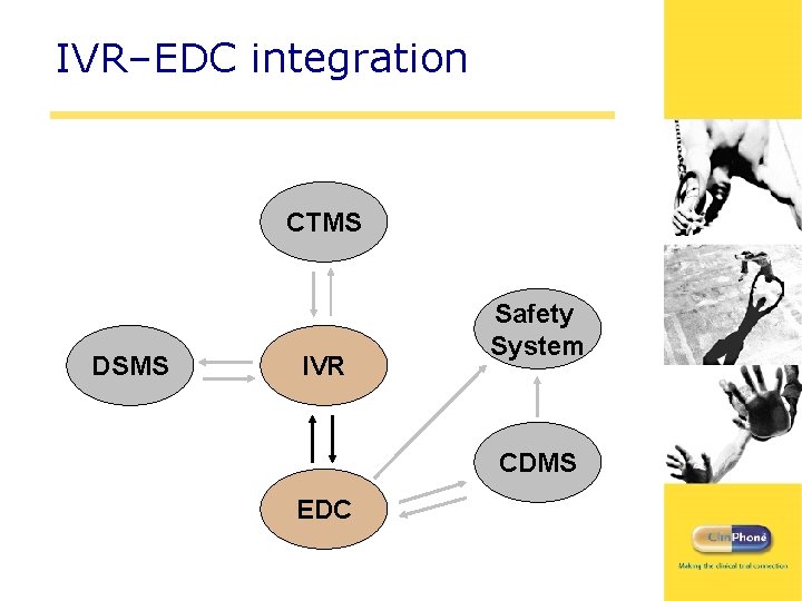 IVR–EDC integration CTMS DSMS IVR Safety System CDMS EDC 