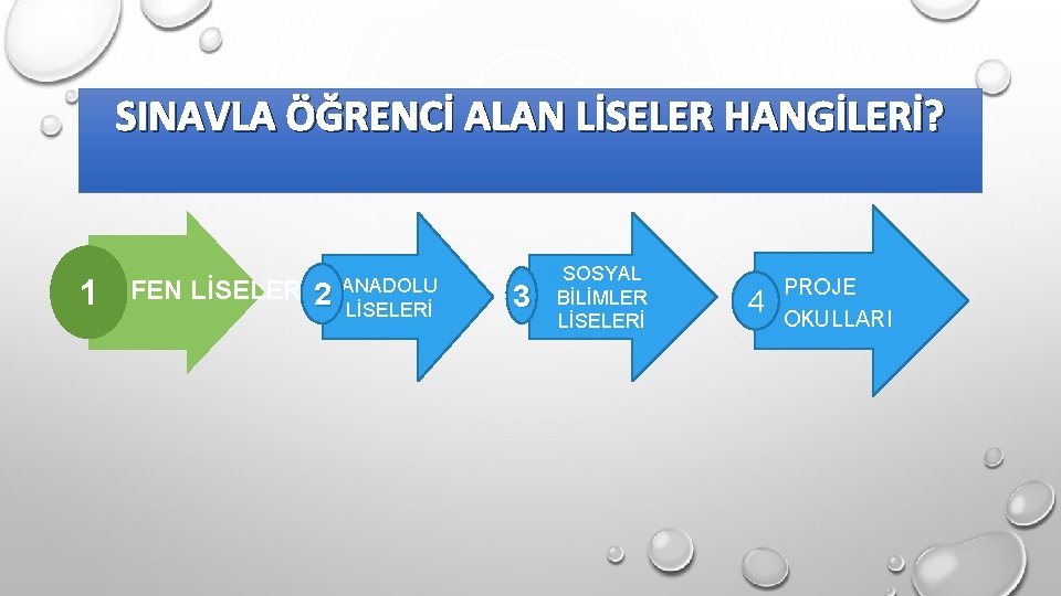 SINAVLA ÖĞRENCİ ALAN LİSELER HANGİLERİ? 1 FEN LİSELERİ 2 ANADOLU LİSELERİ 3 SOSYAL BİLİMLER