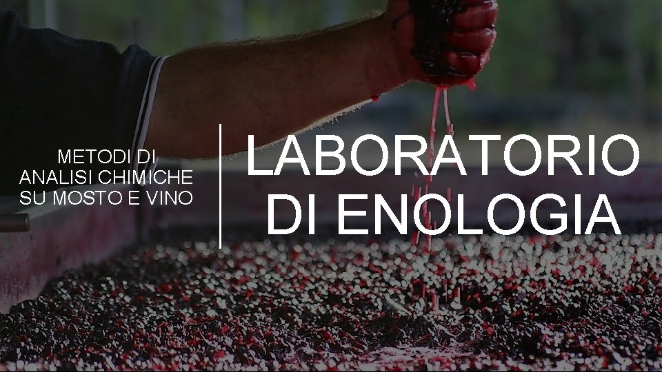 METODI DI ANALISI CHIMICHE SU MOSTO E VINO LABORATORIO DI ENOLOGIA 