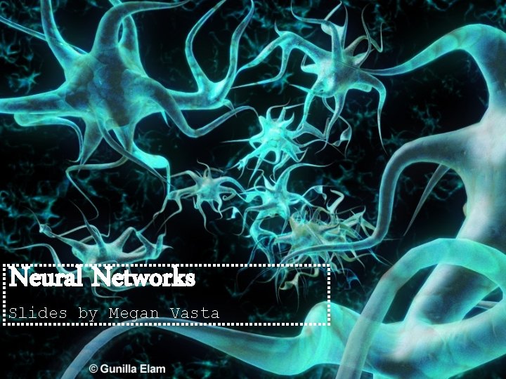 Neural Networks Slides by Megan Vasta 