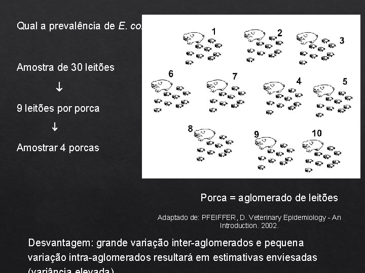 Qual a prevalência de E. coli em leitões? Amostra de 30 leitões 9 leitões