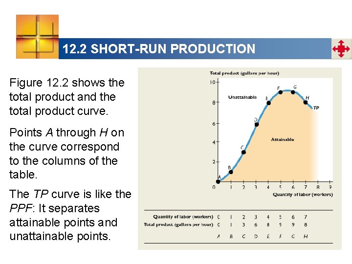 12. 2 SHORT-RUN PRODUCTION Figure 12. 2 shows the total product and the total