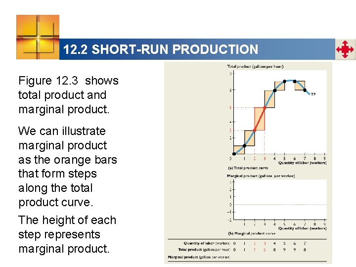 12. 2 SHORT-RUN PRODUCTION Figure 12. 3 shows total product and marginal product. We