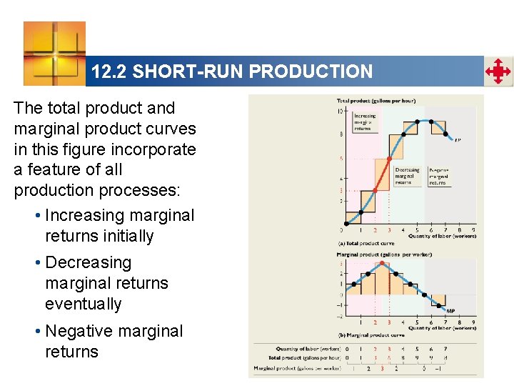 12. 2 SHORT-RUN PRODUCTION The total product and marginal product curves in this figure