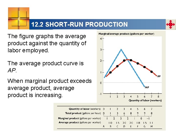 12. 2 SHORT-RUN PRODUCTION The figure graphs the average product against the quantity of