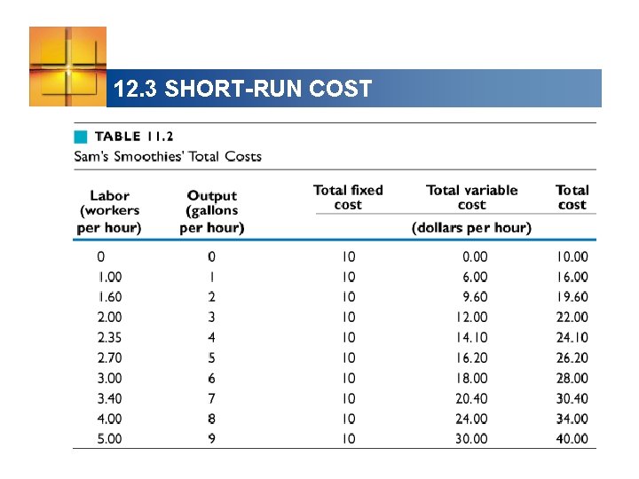 12. 3 SHORT-RUN COST 