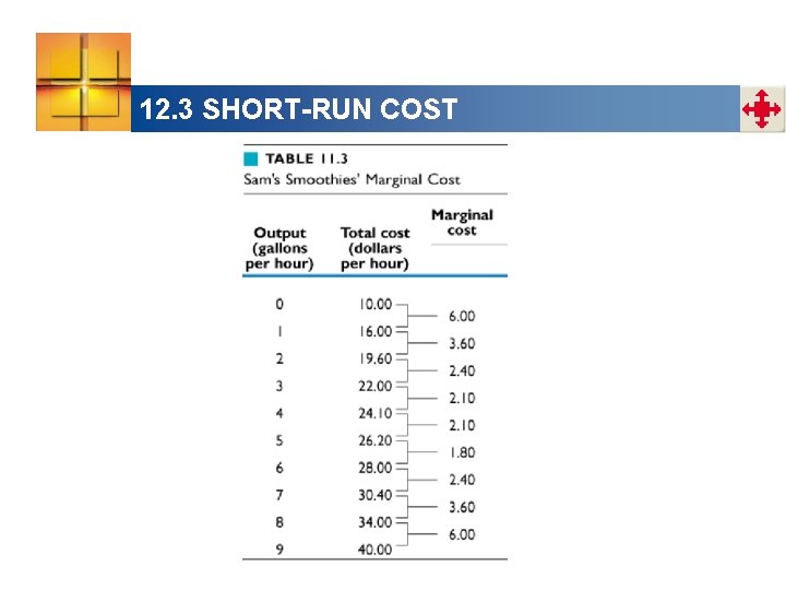 12. 3 SHORT-RUN COST 