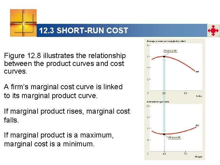 12. 3 SHORT-RUN COST Figure 12. 8 illustrates the relationship between the product curves