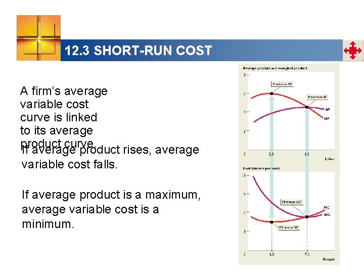 12. 3 SHORT-RUN COST A firm’s average variable cost curve is linked to its