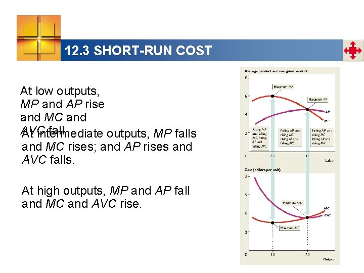 12. 3 SHORT-RUN COST At low outputs, MP and AP rise and MC and