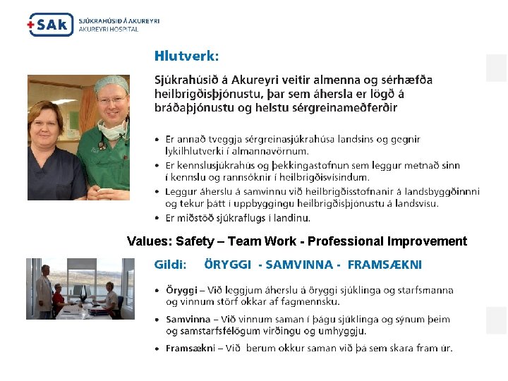 Values: Safety – Team Work - Professional Improvement 