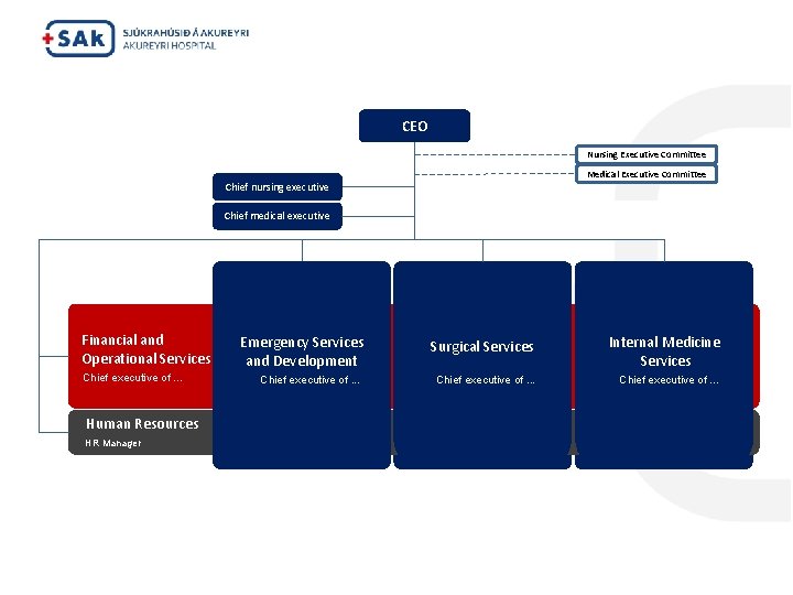 CEO Nursing Executive Committee Medical Executive Committee Chief nursing executive Chief medical executive Financial