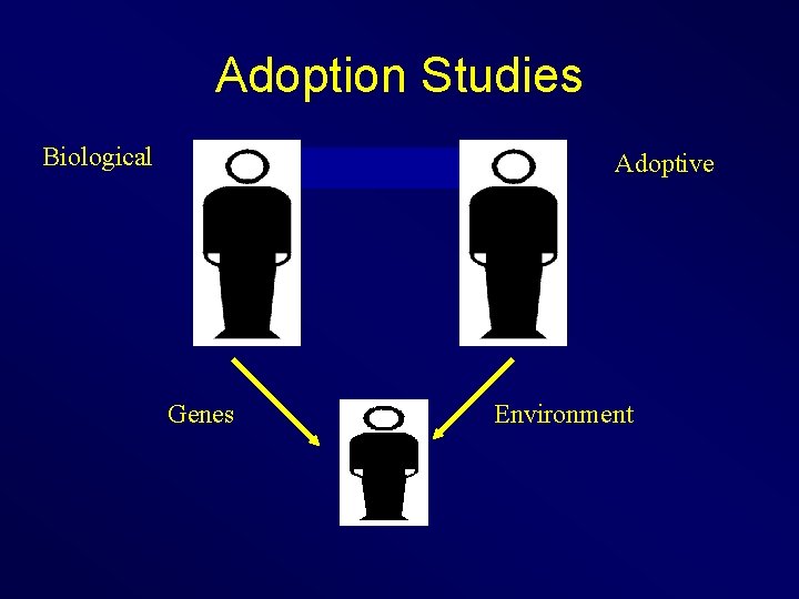 Adoption Studies Biological Adoptive Genes Environment 