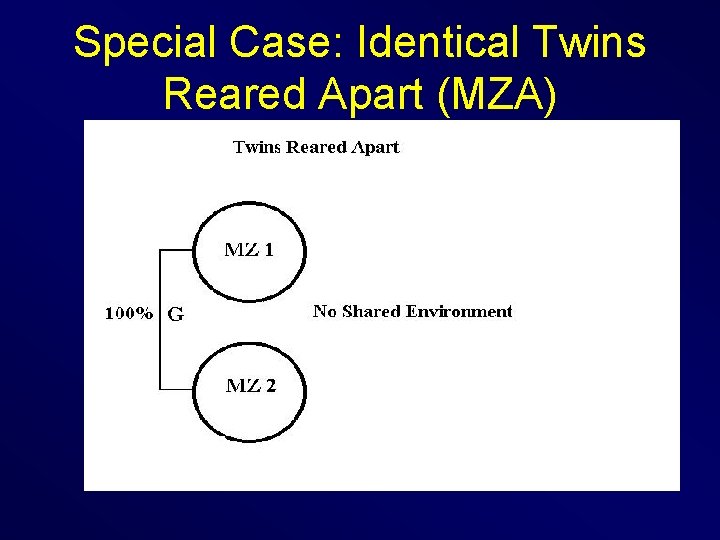 Special Case: Identical Twins Reared Apart (MZA) 