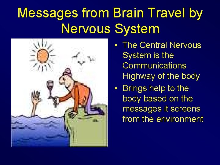 Messages from Brain Travel by Nervous System • The Central Nervous System is the