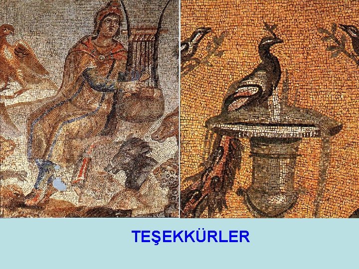 TEŞEKKÜRLER 