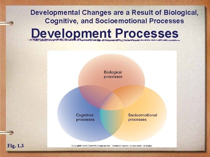Developmental Changes are a Result of Biological, Cognitive, and Socioemotional Processes Development Processes Fig.