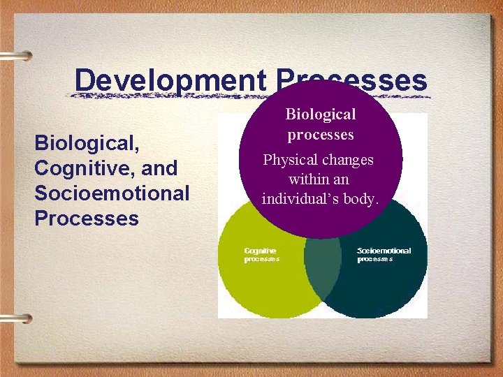 Development Processes Biological, Cognitive, and Socioemotional Processes Biological processes Physical changes within an individual’s
