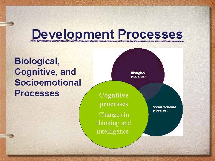 Development Processes Biological, Cognitive, and Socioemotional Processes Cognitive processes Changes in thinking and intelligence.
