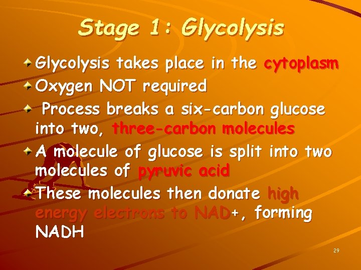 Stage 1: Glycolysis takes place in the cytoplasm Oxygen NOT required Process breaks a