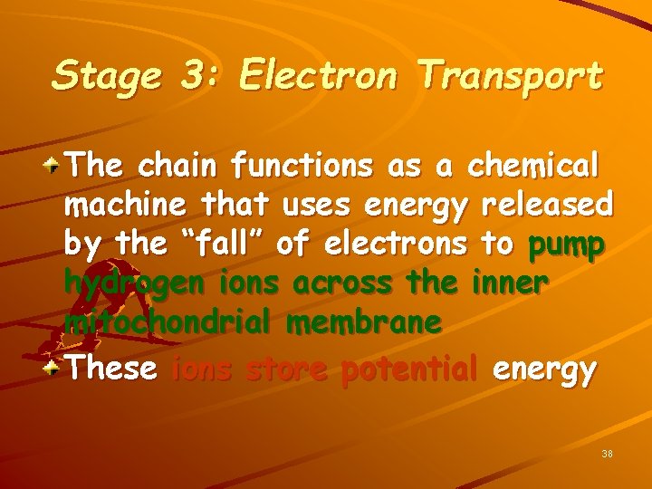 Stage 3: Electron Transport The chain functions as a chemical machine that uses energy