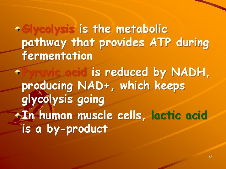 Glycolysis is the metabolic pathway that provides ATP during fermentation Pyruvic acid is reduced