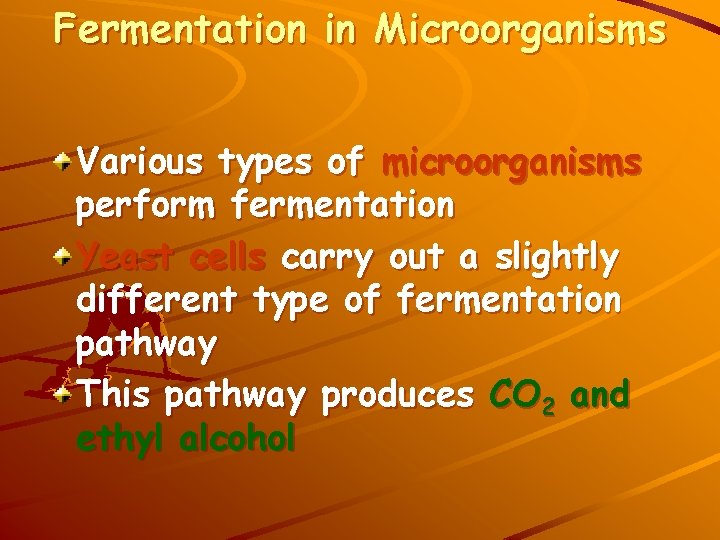 Fermentation in Microorganisms Various types of microorganisms perform fermentation Yeast cells carry out a