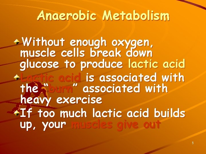 Anaerobic Metabolism Without enough oxygen, muscle cells break down glucose to produce lactic acid