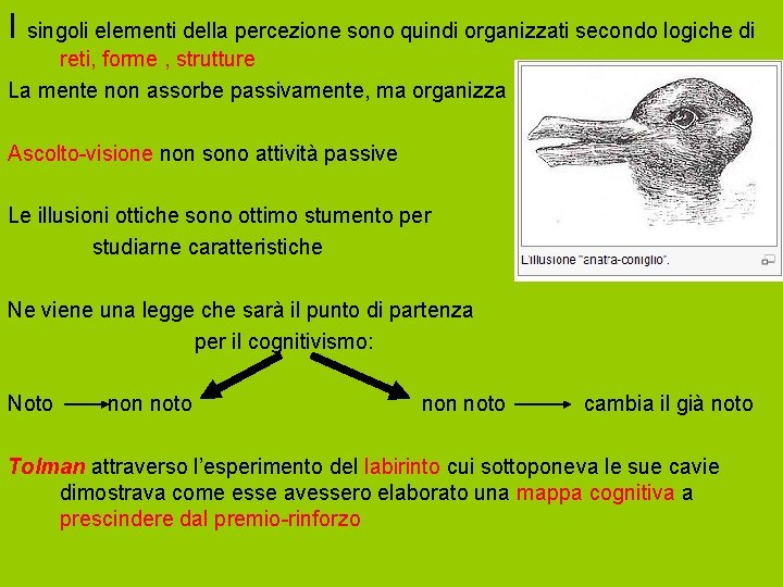 I singoli elementi della percezione sono quindi organizzati secondo logiche di reti, forme ,