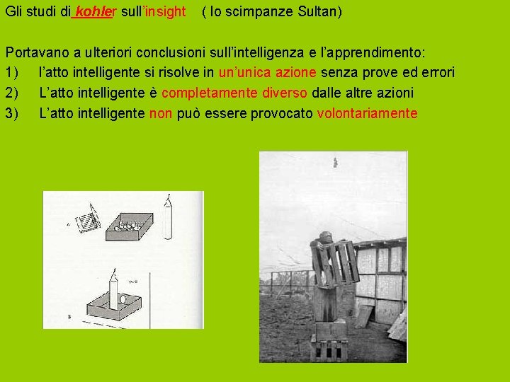 Gli studi di kohler sull’insight ( lo scimpanze Sultan) Portavano a ulteriori conclusioni sull’intelligenza