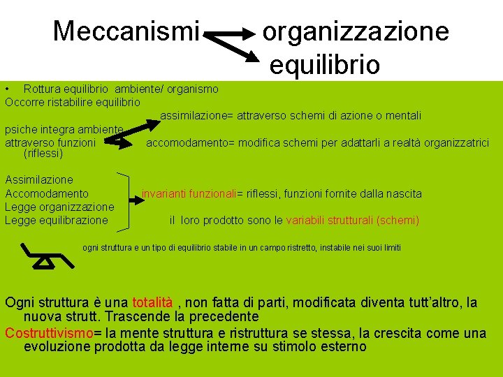 Meccanismi organizzazione equilibrio • Rottura equilibrio ambiente/ organismo Occorre ristabilire equilibrio assimilazione= attraverso schemi