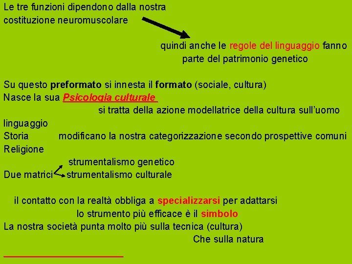 Le tre funzioni dipendono dalla nostra costituzione neuromuscolare quindi anche le regole del linguaggio