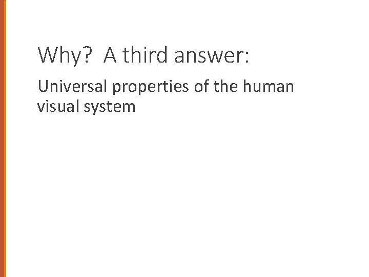 Why? A third answer: Universal properties of the human visual system 