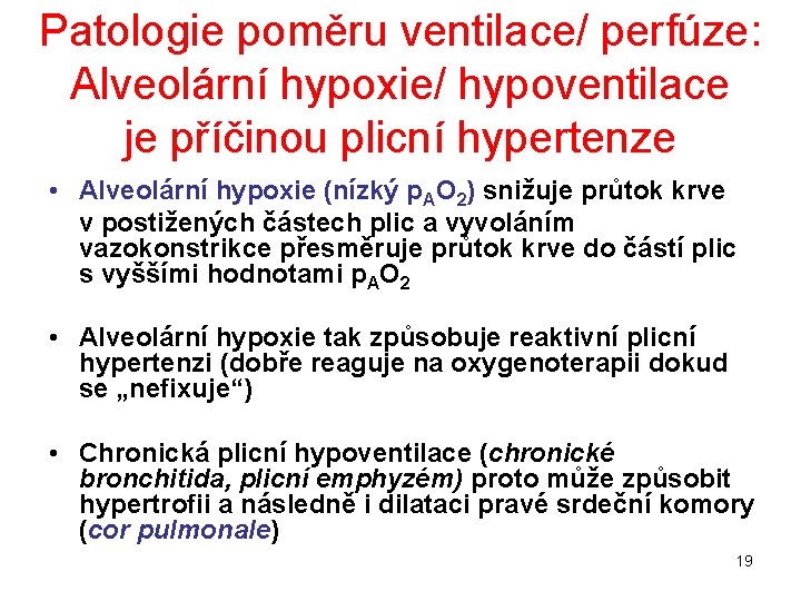 Patologie poměru ventilace/ perfúze: Alveolární hypoxie/ hypoventilace je příčinou plicní hypertenze • Alveolární hypoxie