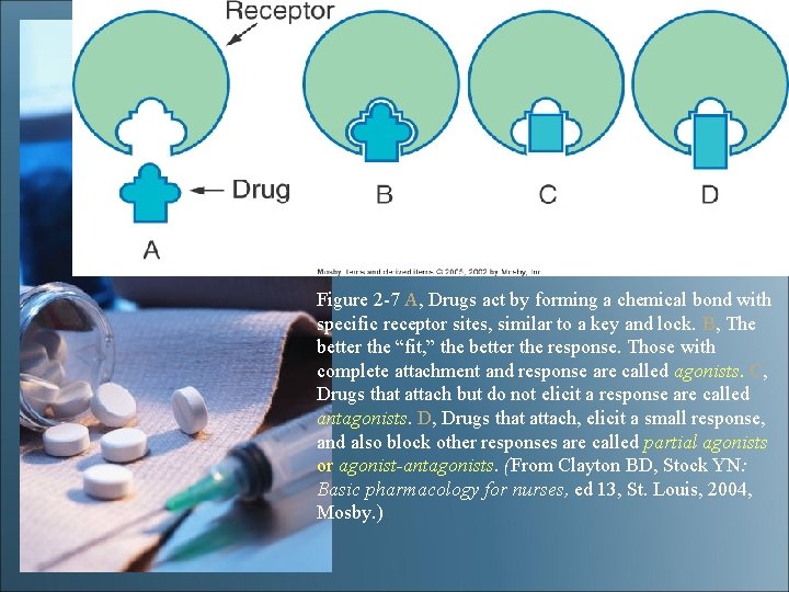 Figure 2 -7 A, Drugs act by forming a chemical bond with specific receptor Figure 2 -7 A, Drugs act by forming a chemical bond with specific receptor