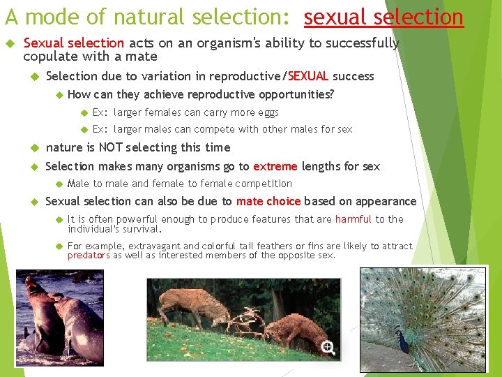 A mode of natural selection: sexual selection Sexual selection acts on an organism's ability A mode of natural selection: sexual selection Sexual selection acts on an organism's ability