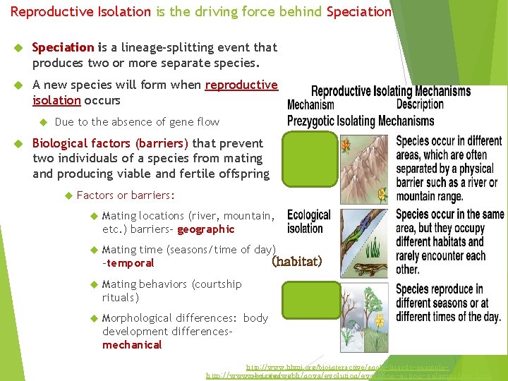 Reproductive Isolation is the driving force behind Speciation is a lineage-splitting event that produces Reproductive Isolation is the driving force behind Speciation is a lineage-splitting event that produces