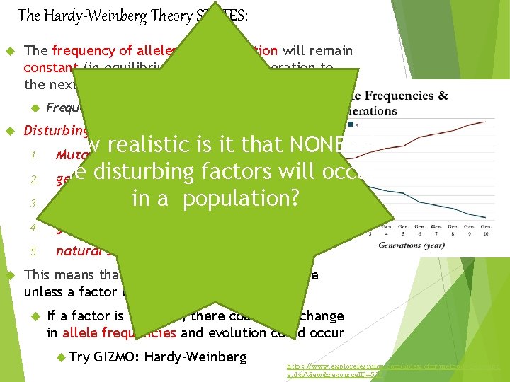 The Hardy-Weinberg Theory STATES: The frequency of alleles in a population will remain constant The Hardy-Weinberg Theory STATES: The frequency of alleles in a population will remain constant