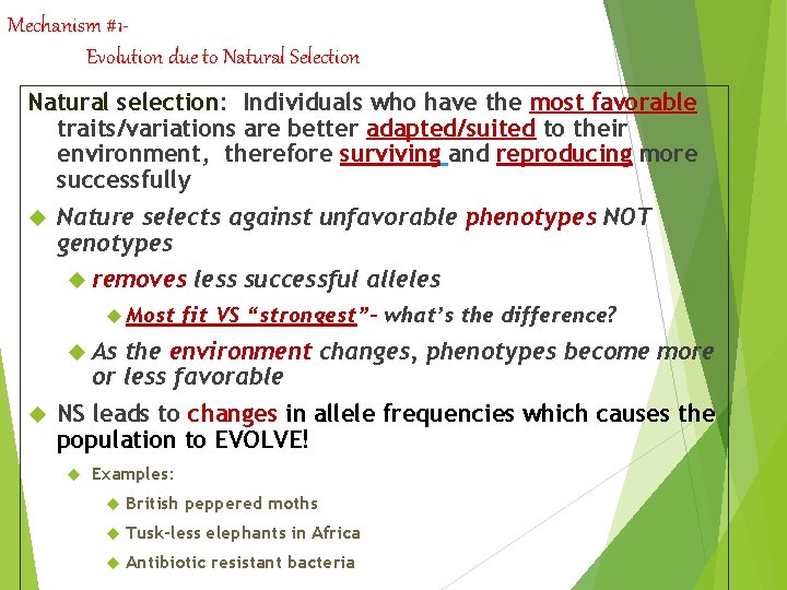 Mechanism #1 Evolution due to Natural Selection Natural selection: selection Individuals who have the Mechanism #1 Evolution due to Natural Selection Natural selection: selection Individuals who have the