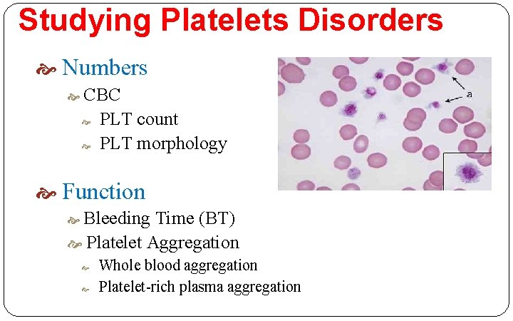 Studying Platelets Disorders Numbers CBC PLT count PLT morphology Function Bleeding Time (BT) Platelet