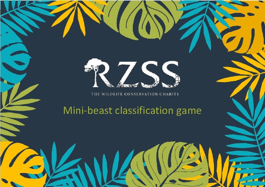 Mini-beast classification game 