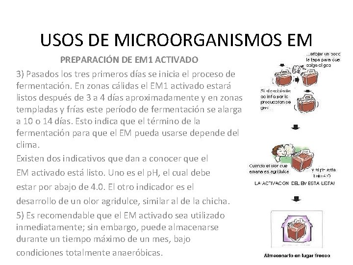 USOS DE MICROORGANISMOS EM PREPARACIÓN DE EM 1 ACTIVADO 3) Pasados los tres primeros