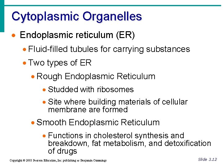 Cytoplasmic Organelles · Endoplasmic reticulum (ER) · Fluid-filled tubules for carrying substances · Two