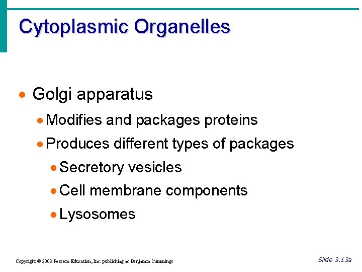 Cytoplasmic Organelles · Golgi apparatus · Modifies and packages proteins · Produces different types
