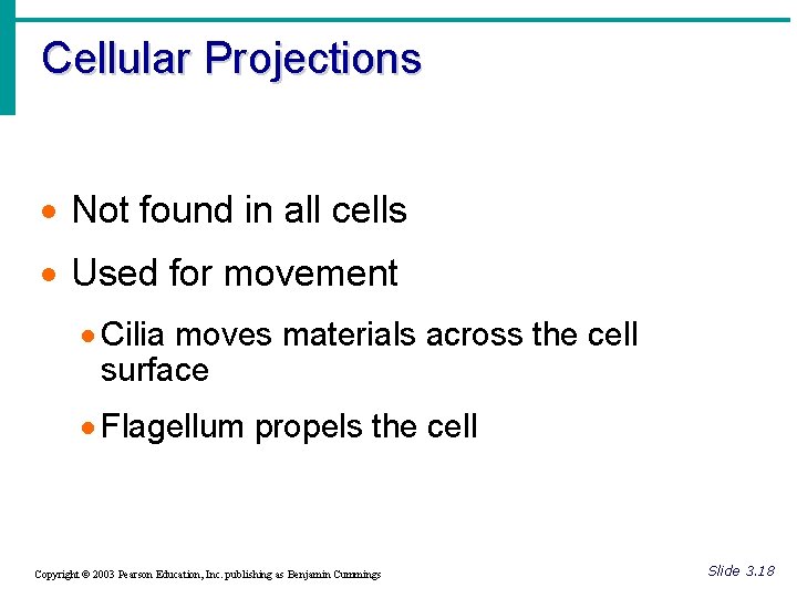 Cellular Projections · Not found in all cells · Used for movement · Cilia