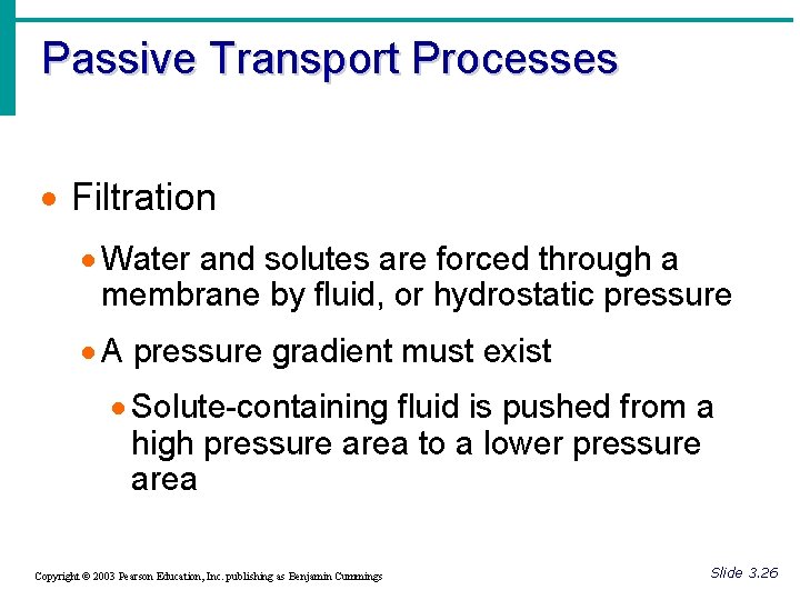 Passive Transport Processes · Filtration · Water and solutes are forced through a membrane