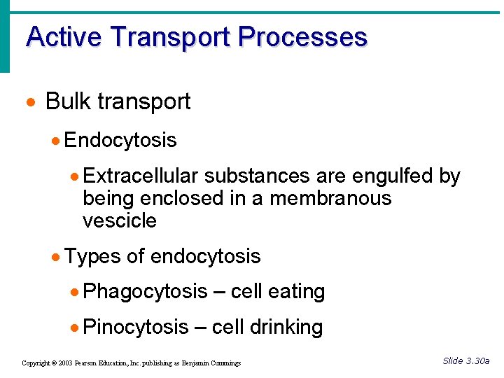 Active Transport Processes · Bulk transport · Endocytosis · Extracellular substances are engulfed by