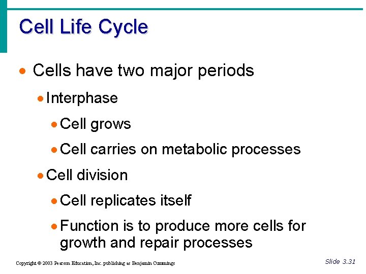 Cell Life Cycle · Cells have two major periods · Interphase · Cell grows