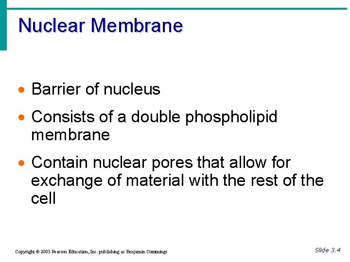 Nuclear Membrane · Barrier of nucleus · Consists of a double phospholipid membrane ·