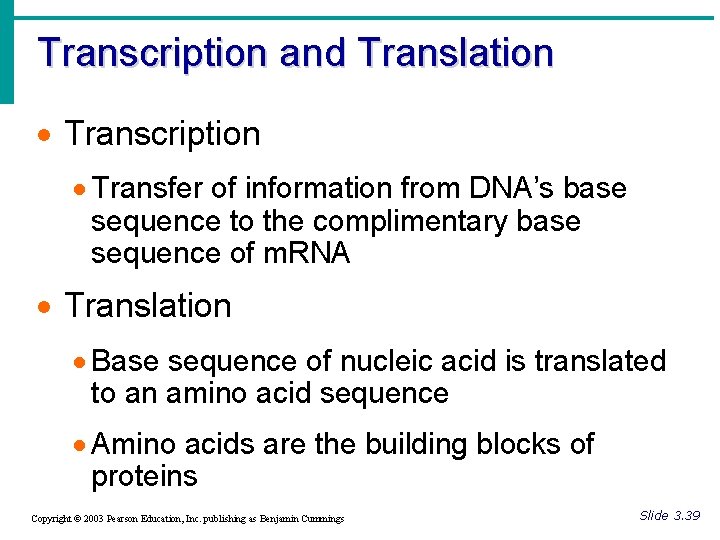 Transcription and Translation · Transcription · Transfer of information from DNA’s base sequence to
